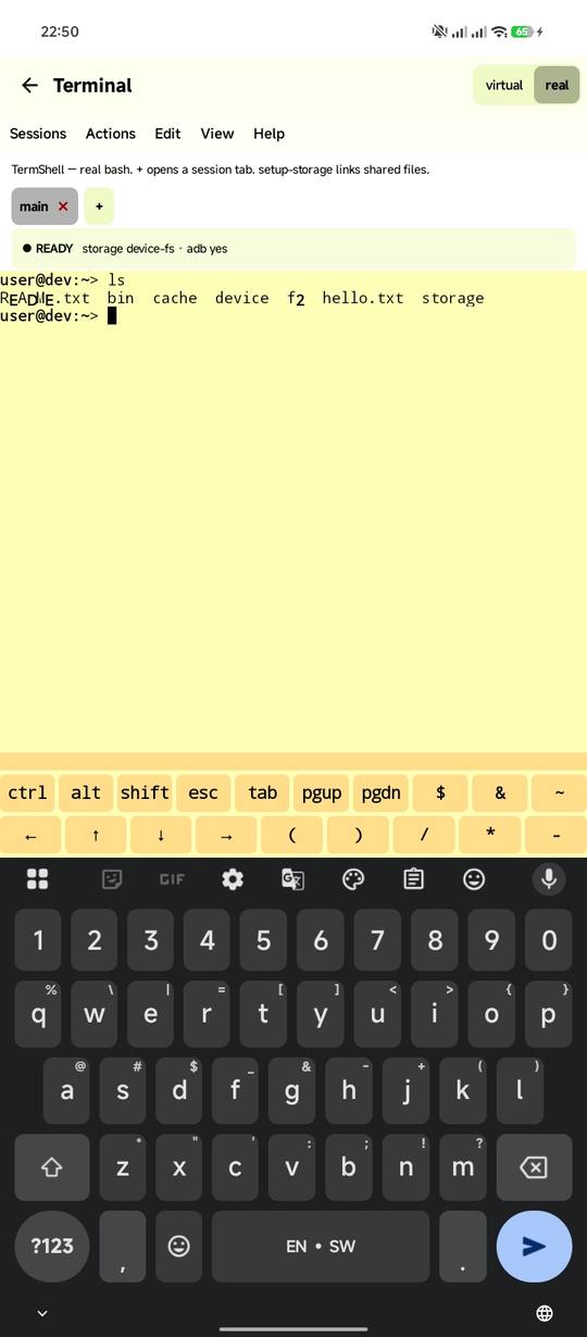 Linux Master real terminal running ls with the terminal key row